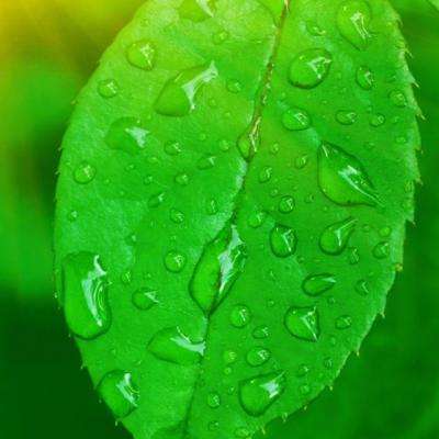 万博max体育注册